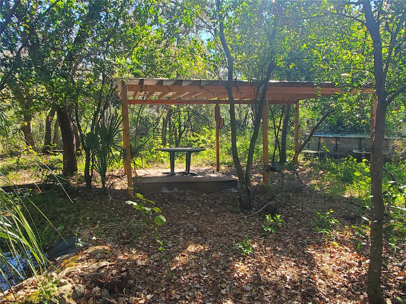 11336 Minnieola Dr Property Photo 10