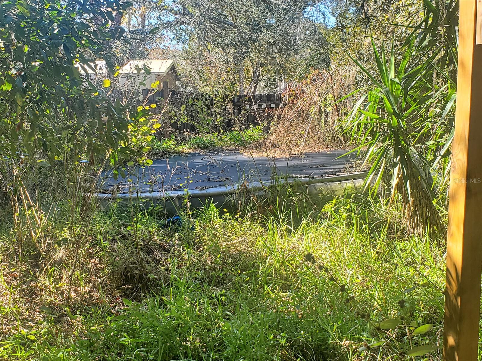 11336 Minnieola Dr Property Photo 12