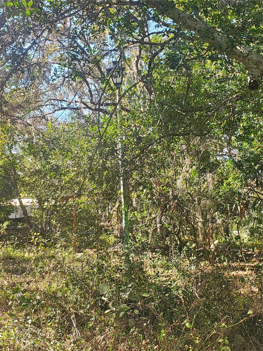 11336 Minnieola Dr Property Photo 13