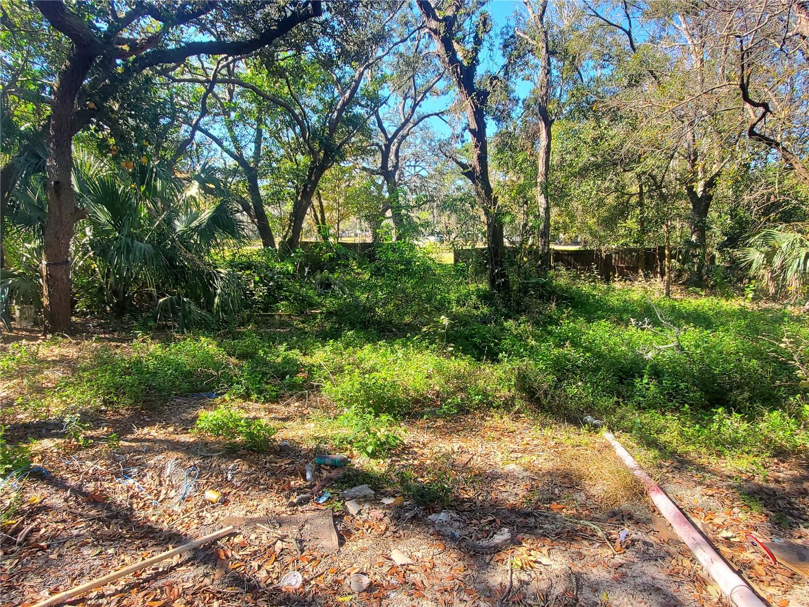 11336 Minnieola Dr Property Photo 14