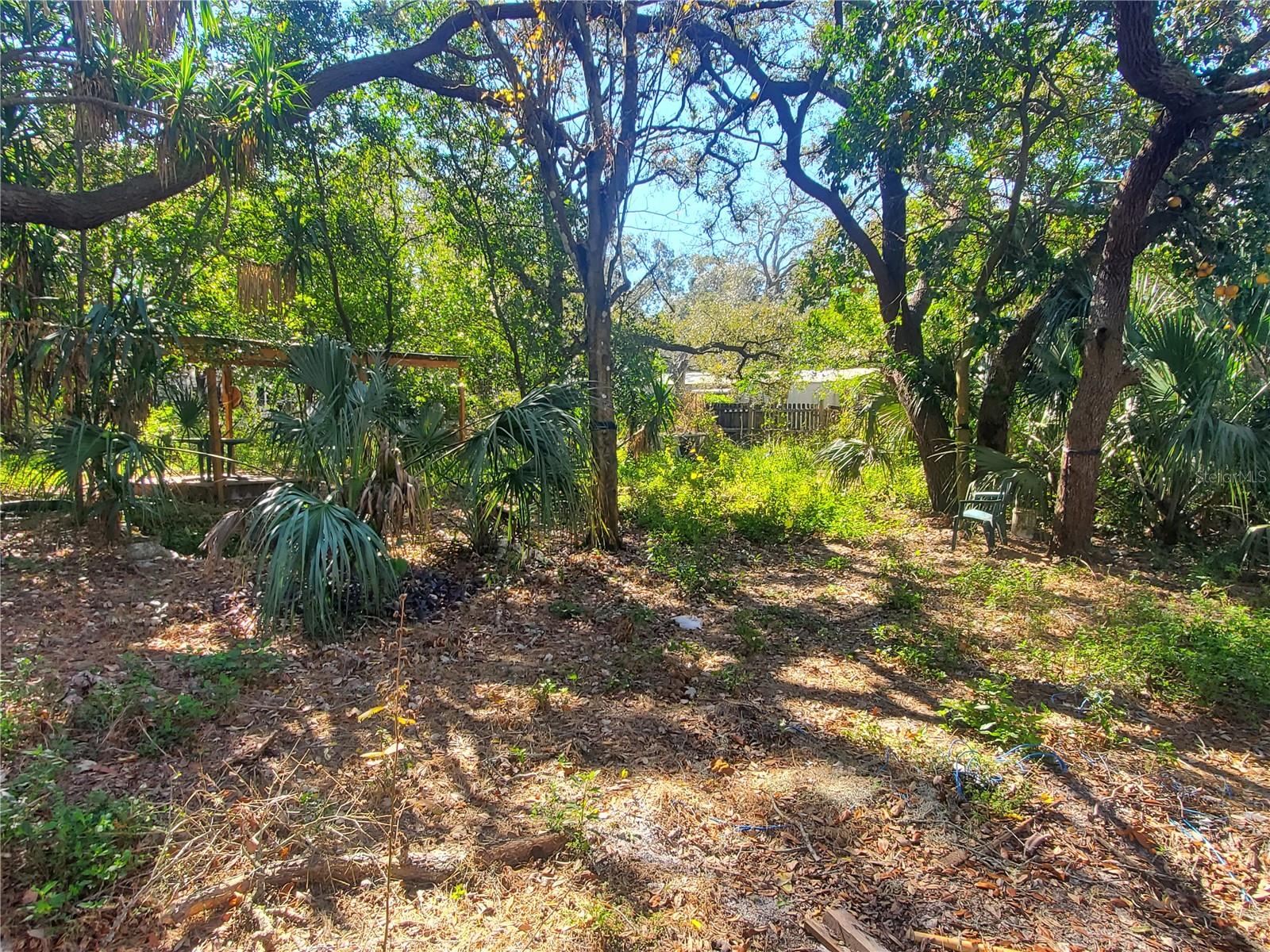 11336 Minnieola Dr Property Photo 15