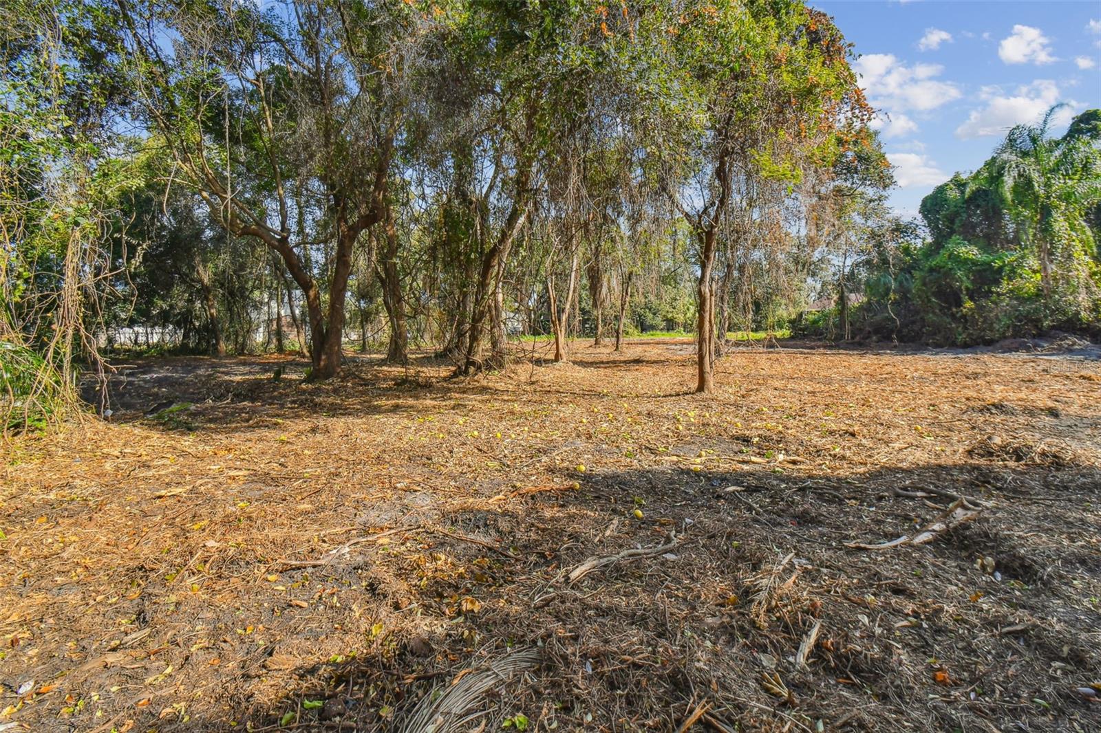 9612 N Ojus Dr Property Photo 8