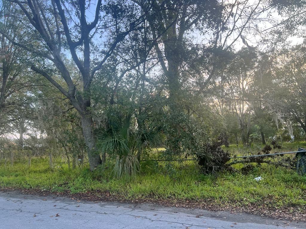 7106 Sky Dr Property Photo 6