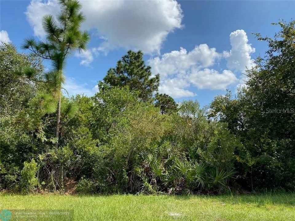 Manatee Way Property Photo 3