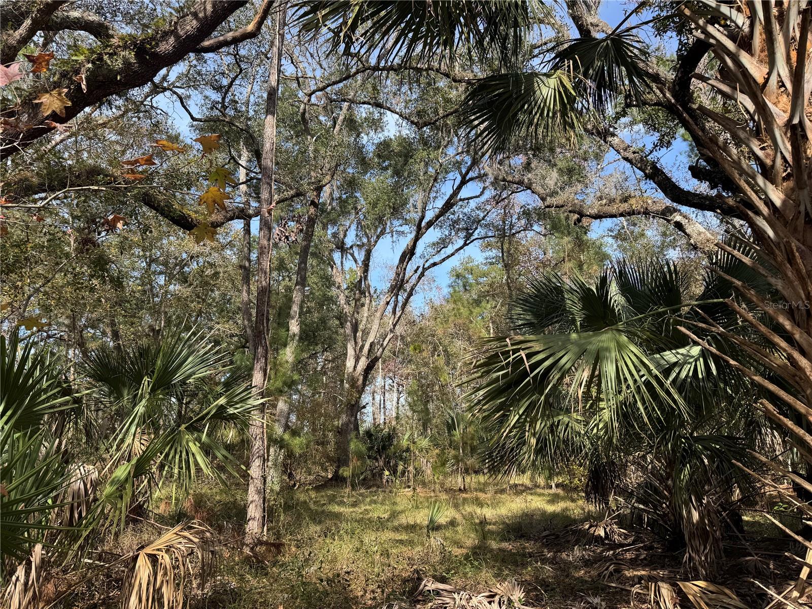 Undetermined Property Photo 1