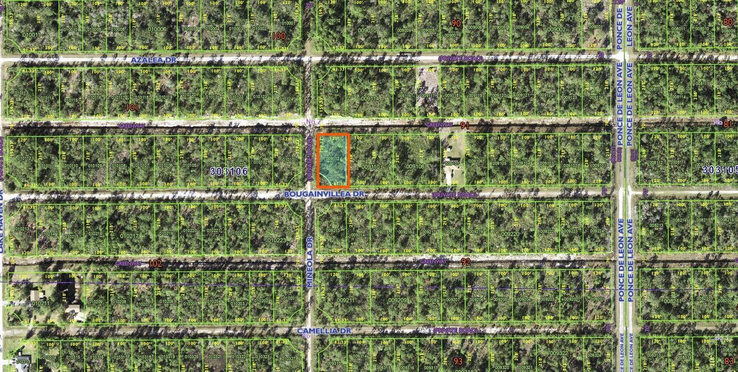 424 Bougainville Dr Property Photo 6