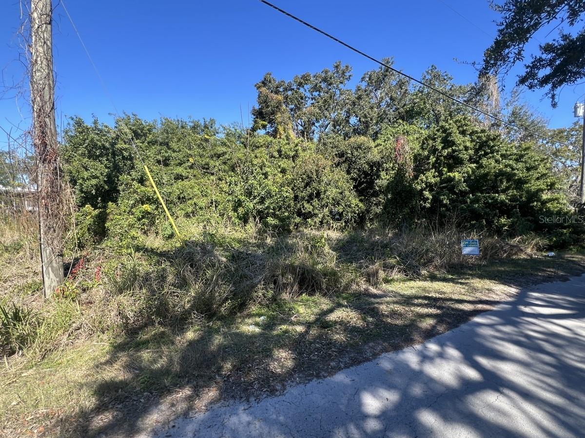 Sailfish Property Photo 3
