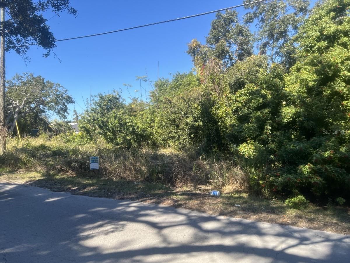 Sailfish Property Photo 4
