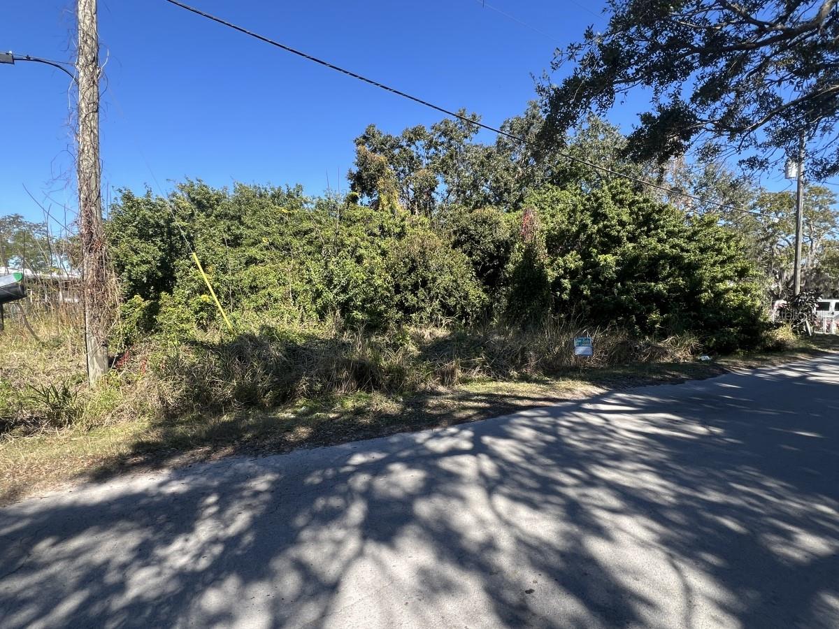 Sailfish Property Photo 5