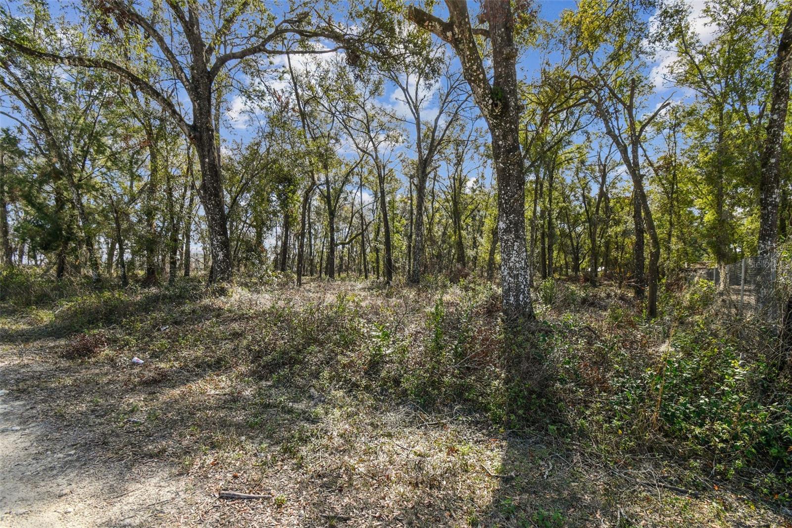 Mckethan Rd Property Photo 23
