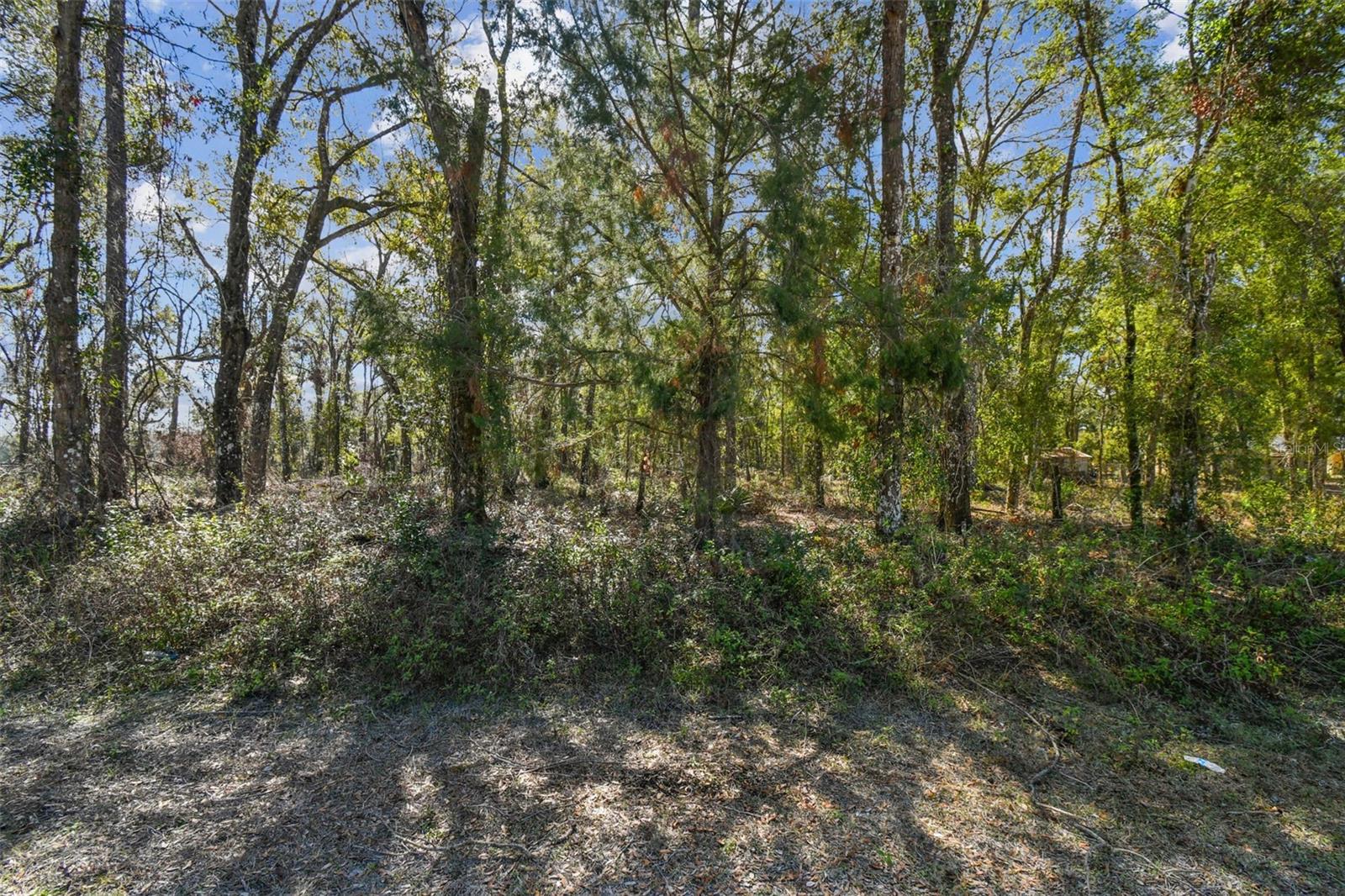 Mckethan Rd Property Photo 24