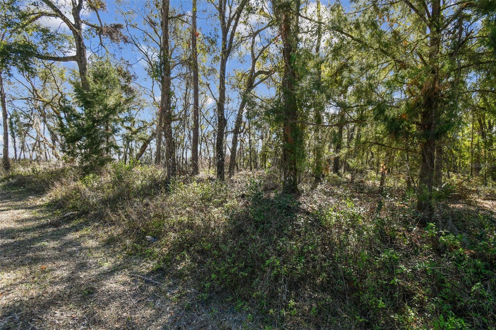 Mckethan Rd Property Photo 26
