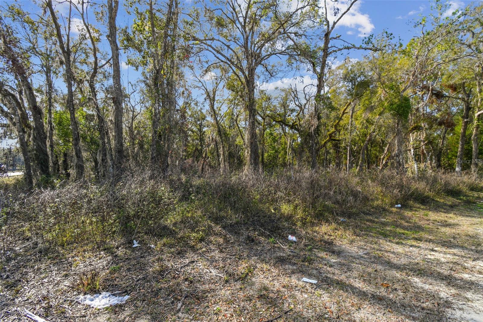 Mckethan Rd Property Photo 27