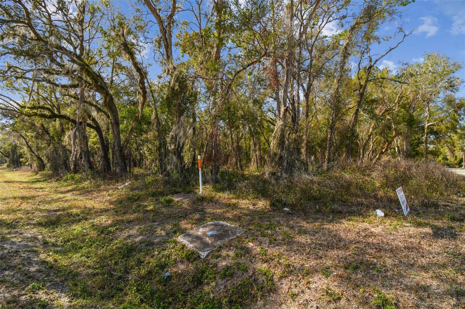 Mckethan Rd Property Photo 29