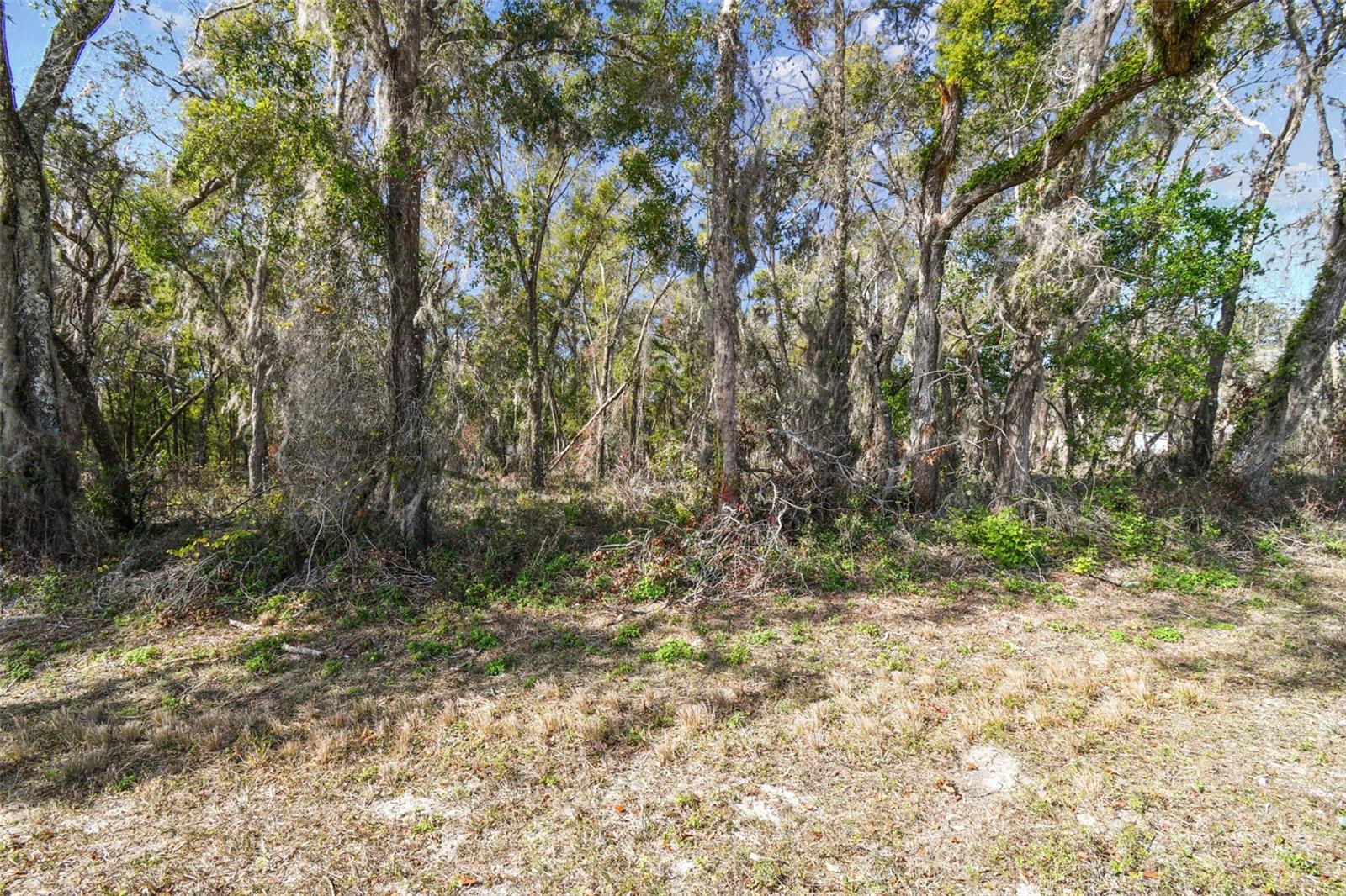 Mckethan Rd Property Photo 31