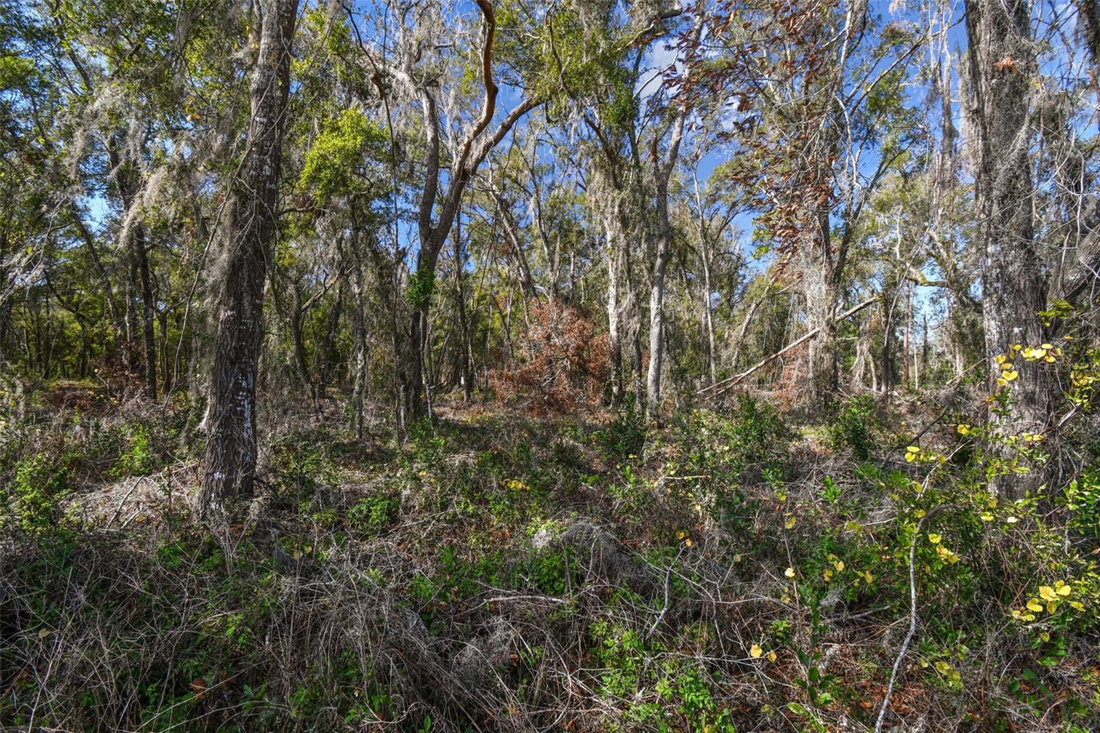 Mckethan Rd Property Photo 32