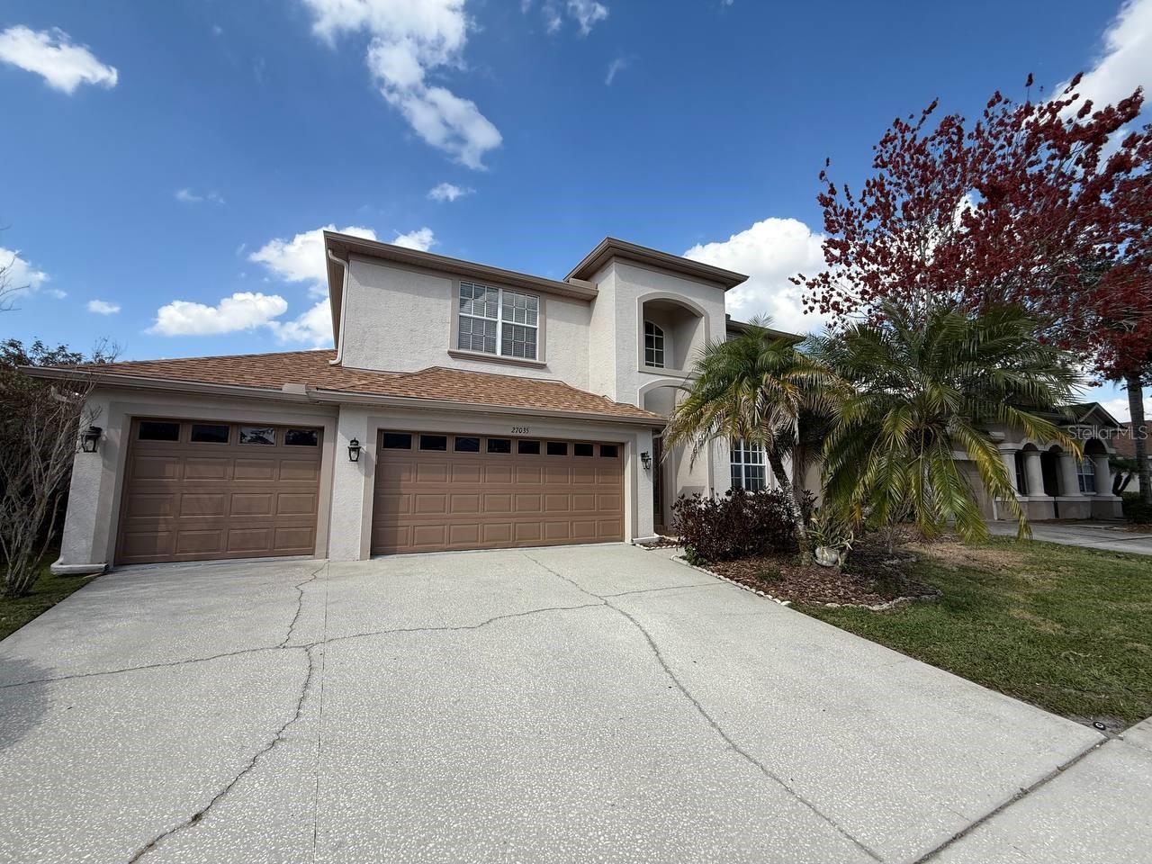 27035 Firebush Dr Property Photo