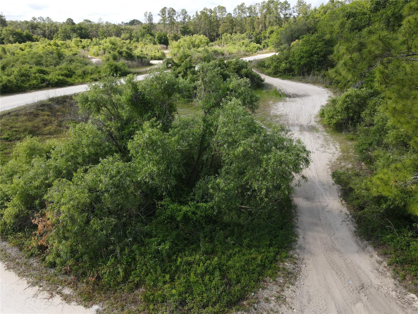 Coral Rock Dr Property Photo 6