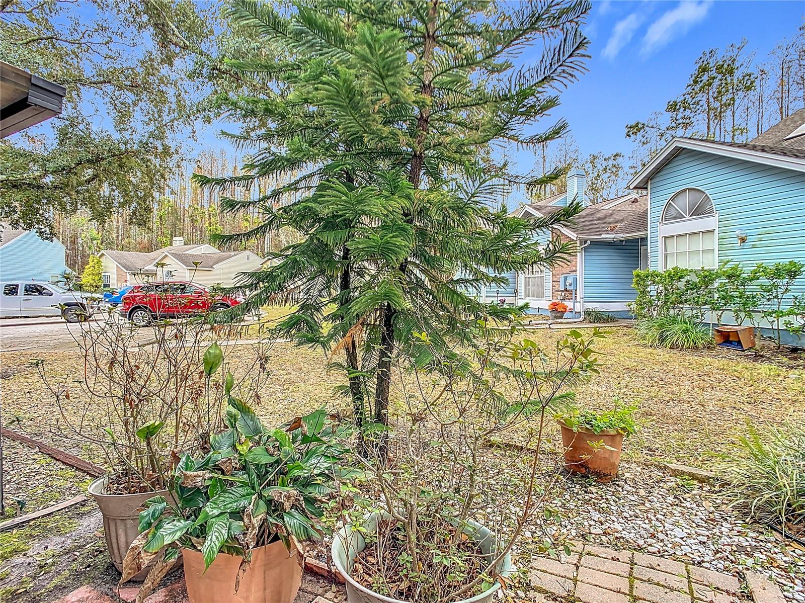 5832 Red Cedar Ln Property Photo 50