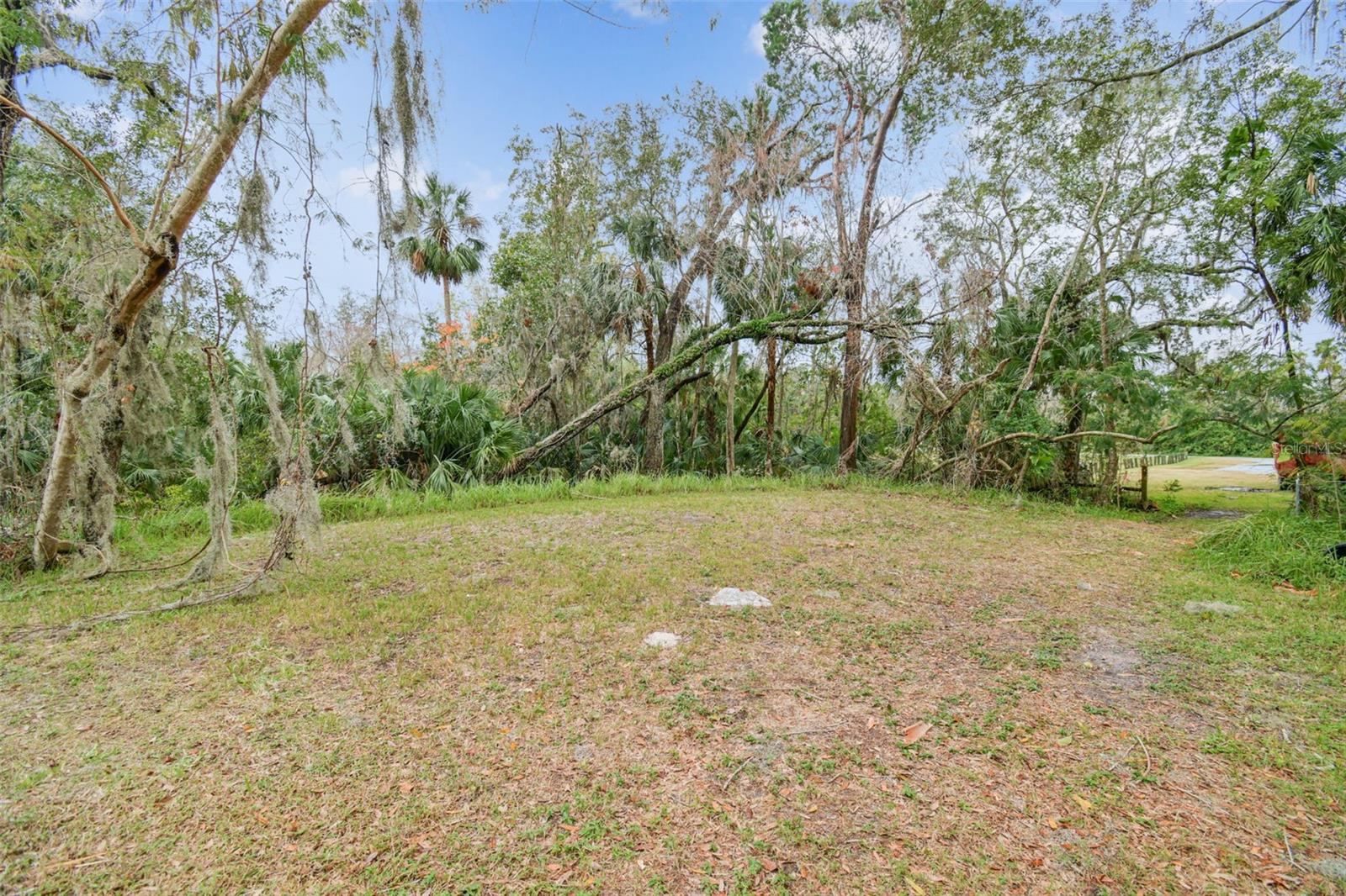 11110 Casa Loma Dr Property Photo 61