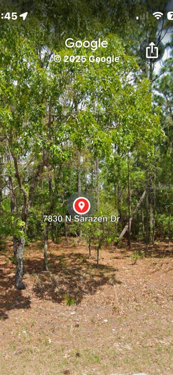 7830 N Sarazen Dr Property Photo 3