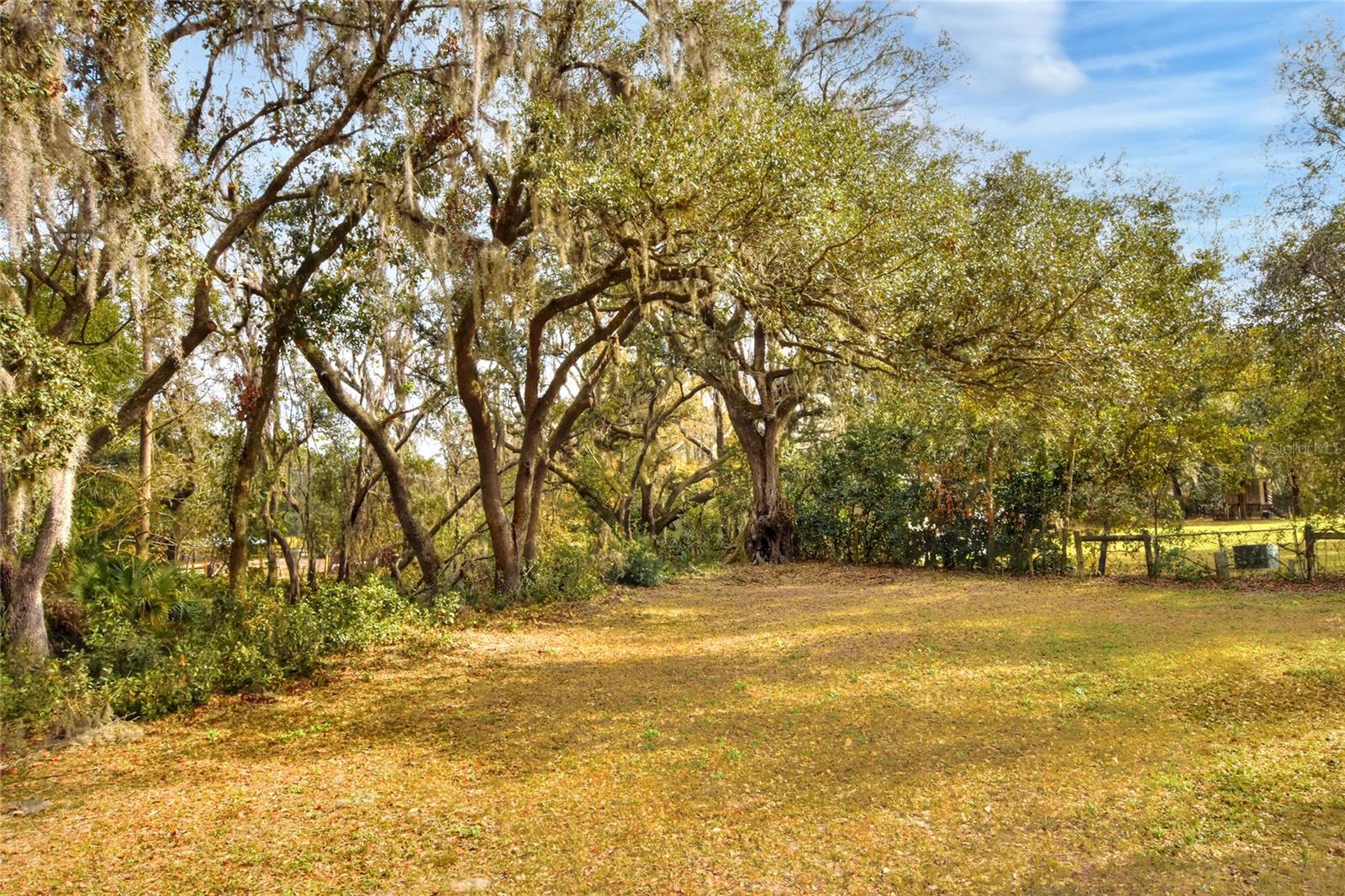 11735 Knights Griffin Rd Property Photo 2