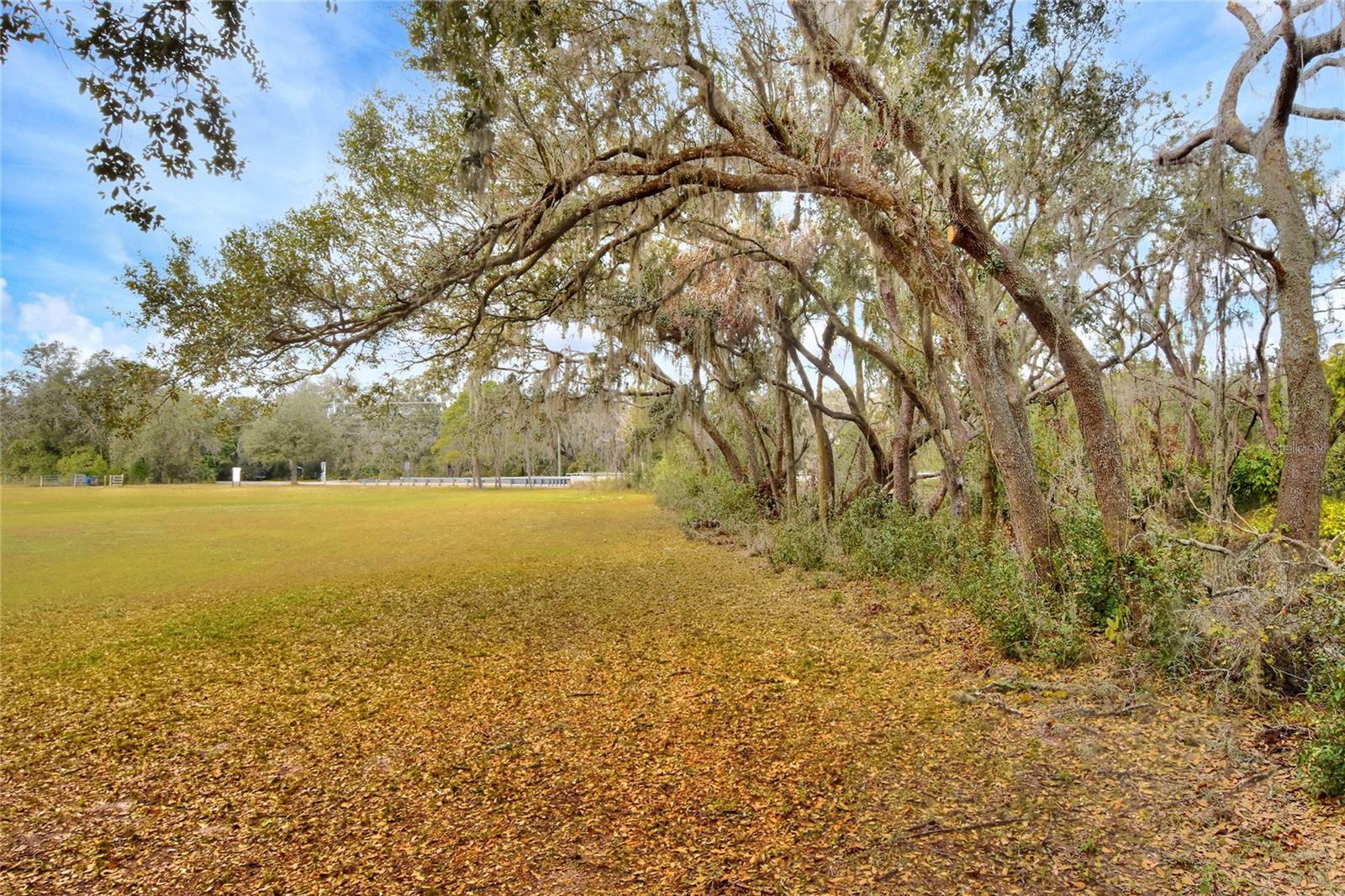 11735 Knights Griffin Rd Property Photo 4