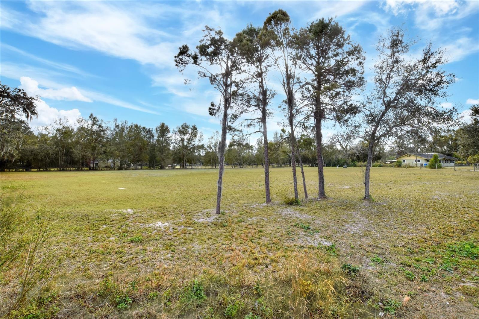 11735 Knights Griffin Rd Property Photo 5