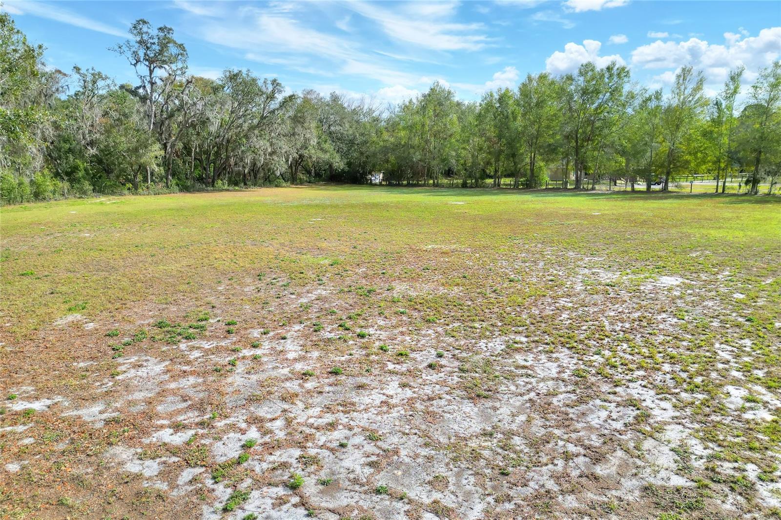 11735 Knights Griffin Rd Property Photo 6