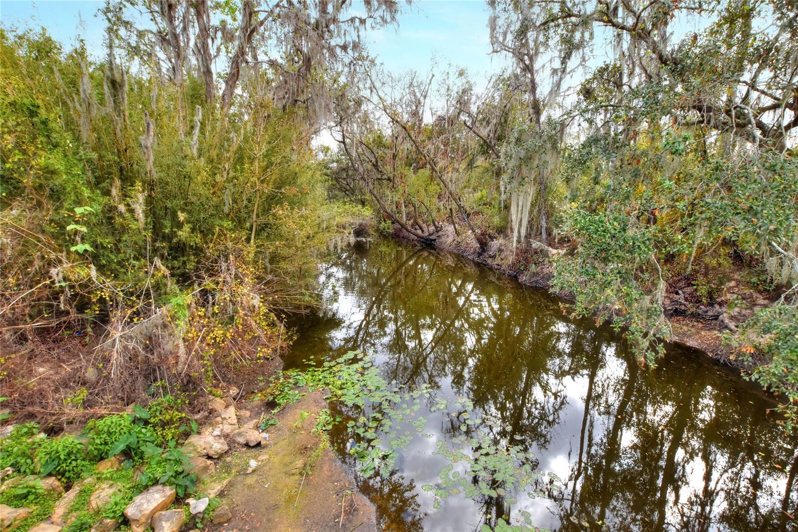 11735 Knights Griffin Rd Property Photo 7