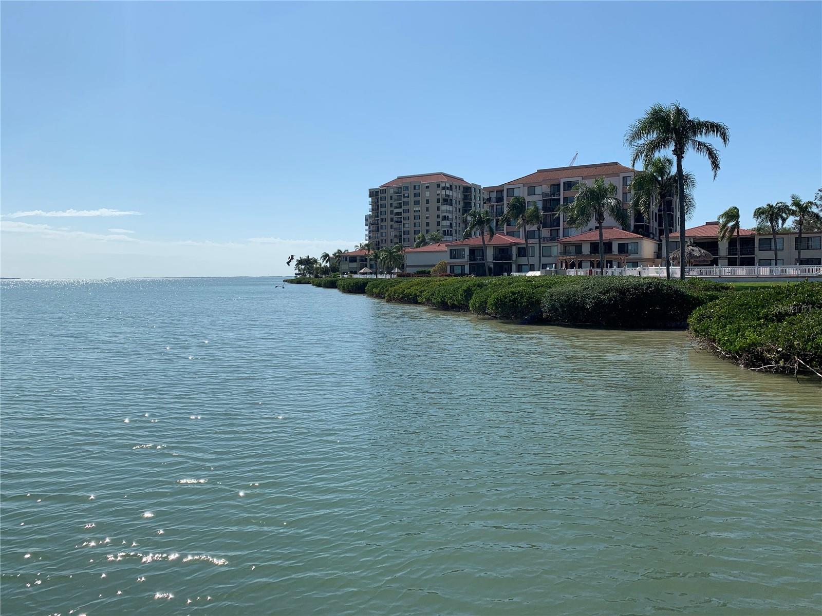 6219 PALMA DEL MAR BLVD S #307 Property Photo 1