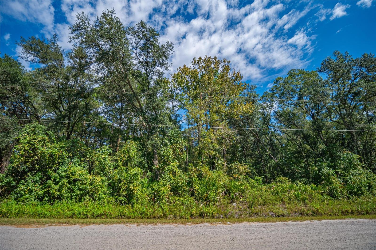 4930 Joseph St Property Photo 2