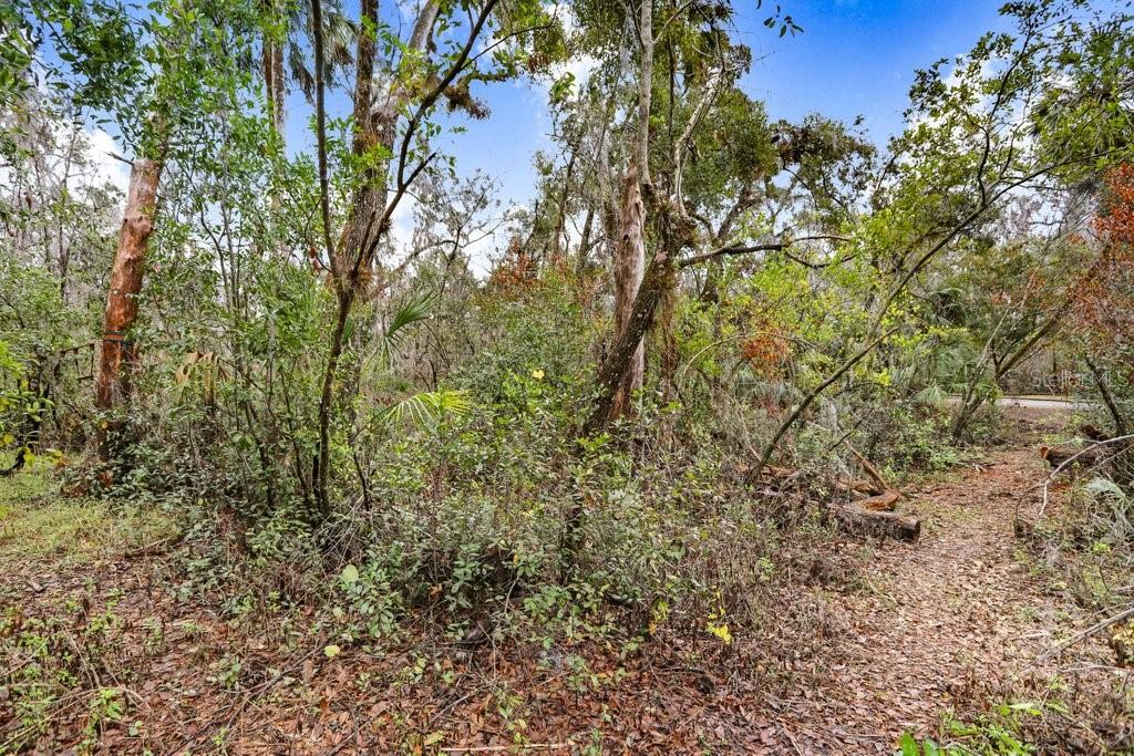 4868 Rambling River Rd Property Photo 8