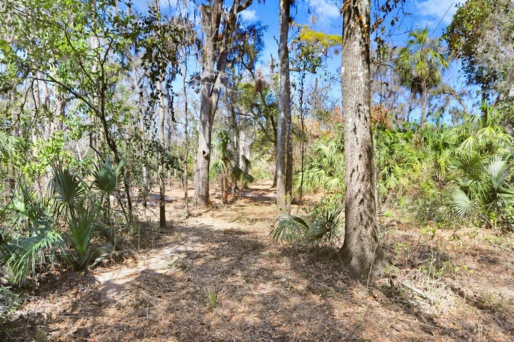 4868 Rambling River Rd Property Photo 43