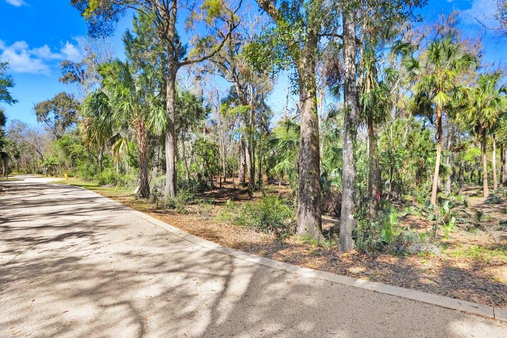 4868 Rambling River Rd Property Photo 44