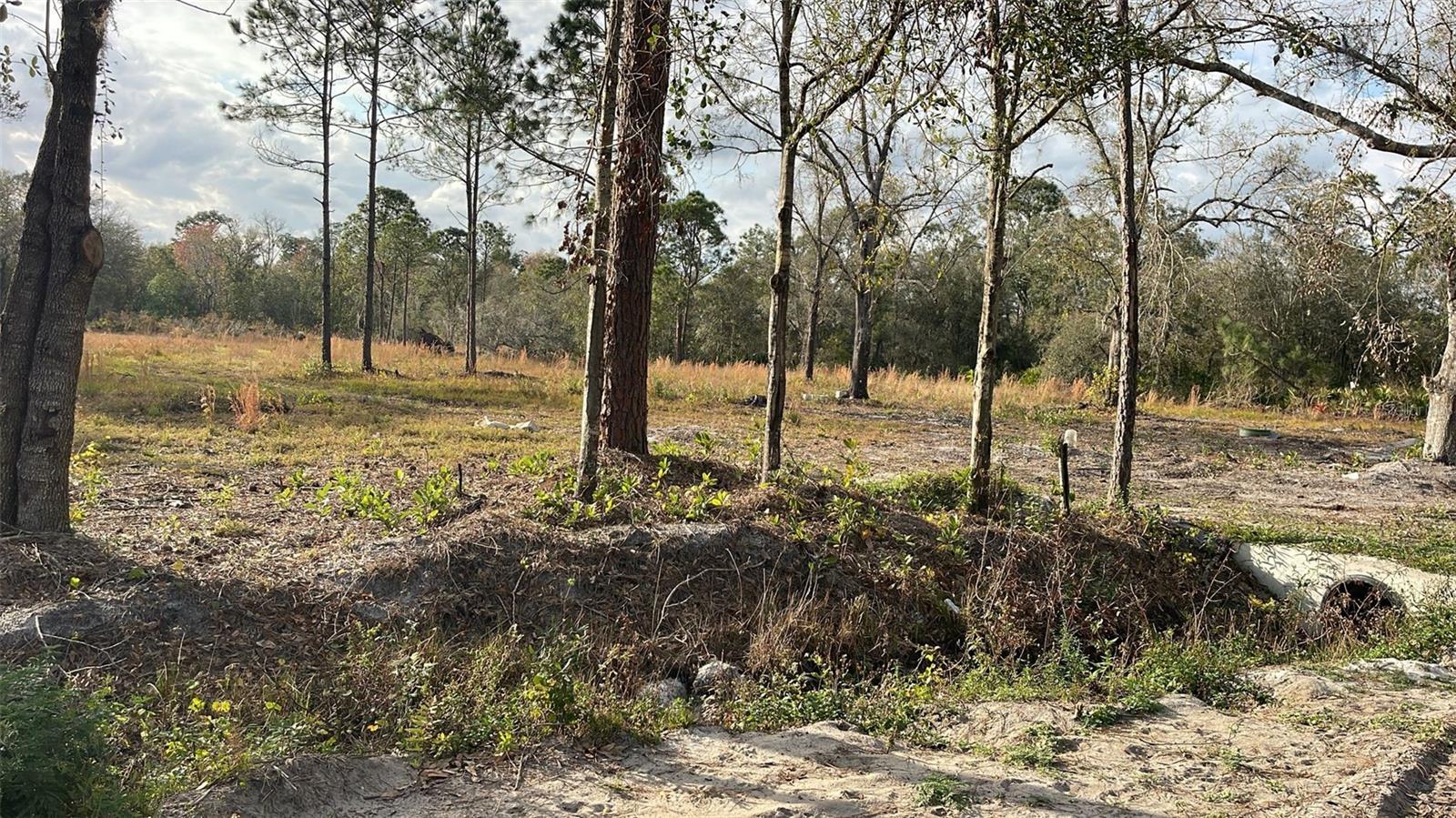 Kelly Ridge Rd Property Photo 2