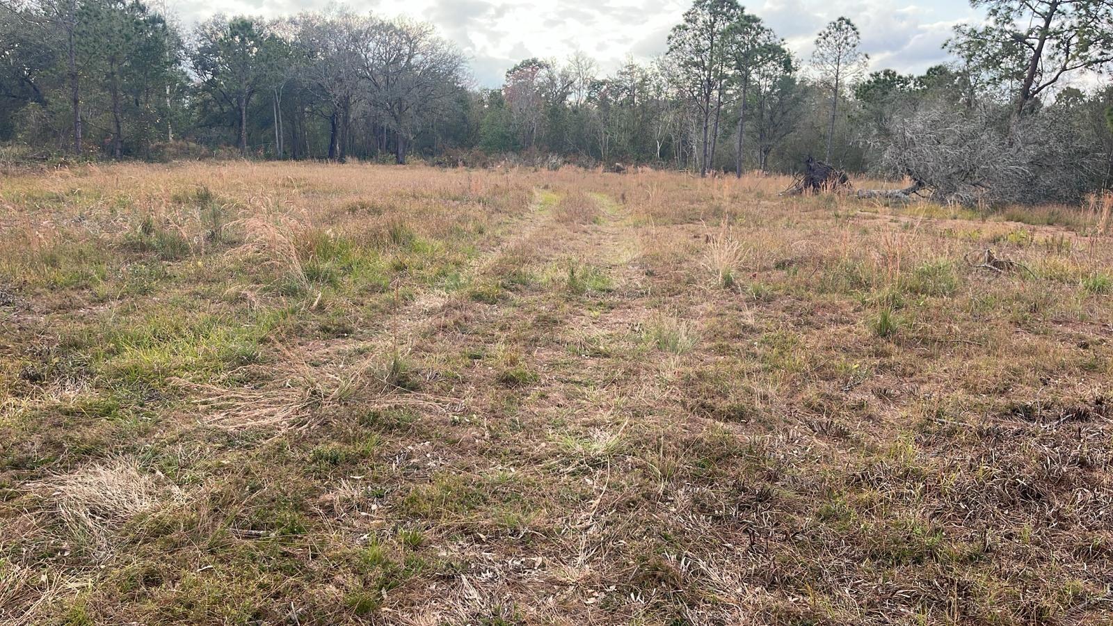Kelly Ridge Rd Property Photo 3