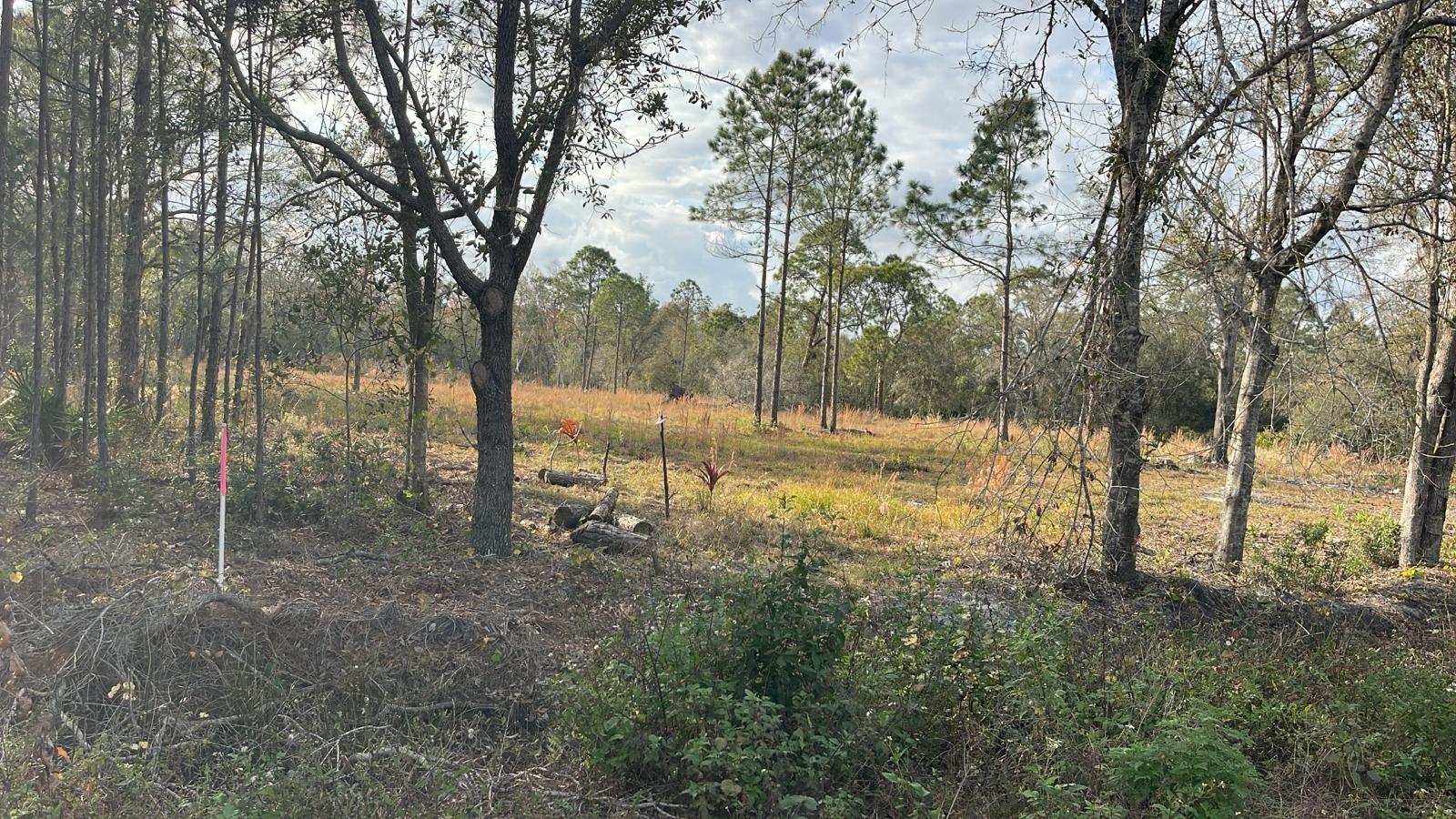 Kelly Ridge Rd Property Photo 4