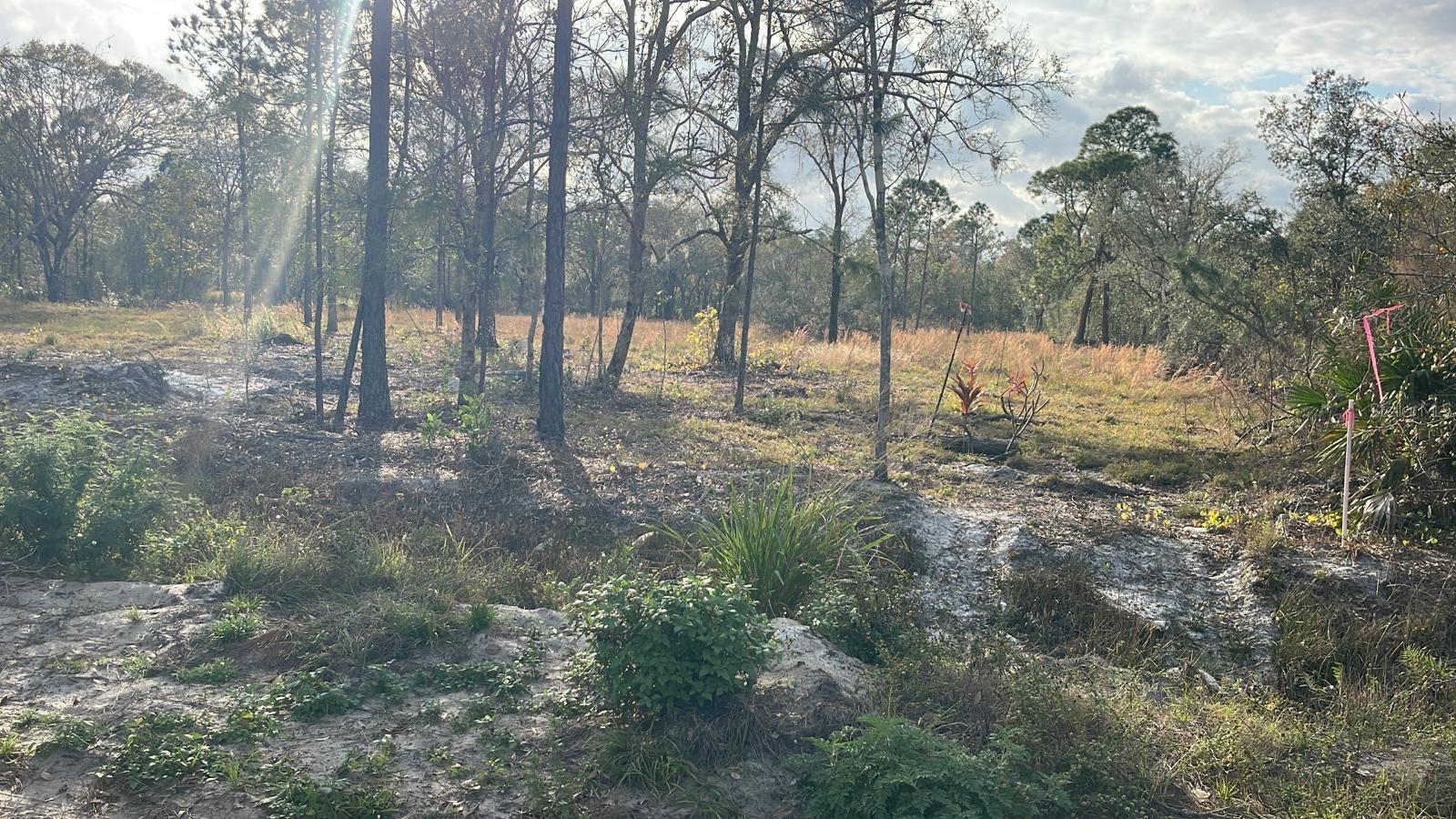 Kelly Ridge Rd Property Photo 6