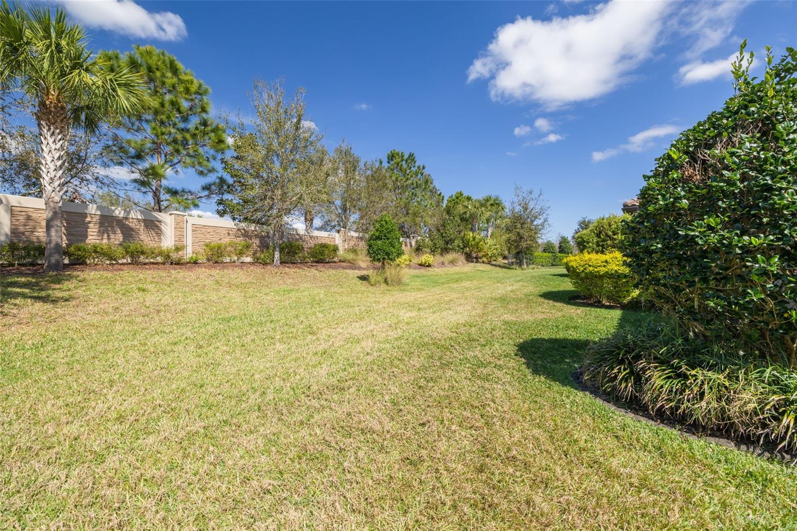 11563 Callisia Dr Property Photo 28