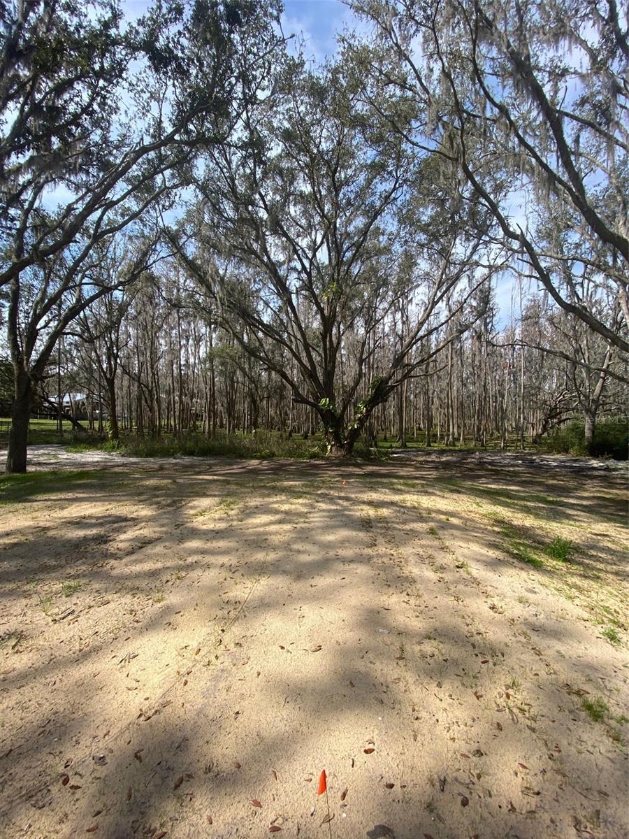 7405 Shoupe Rd Property Photo 37