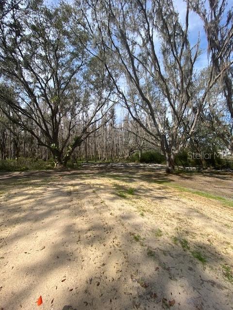 7405 Shoupe Rd Property Photo 38