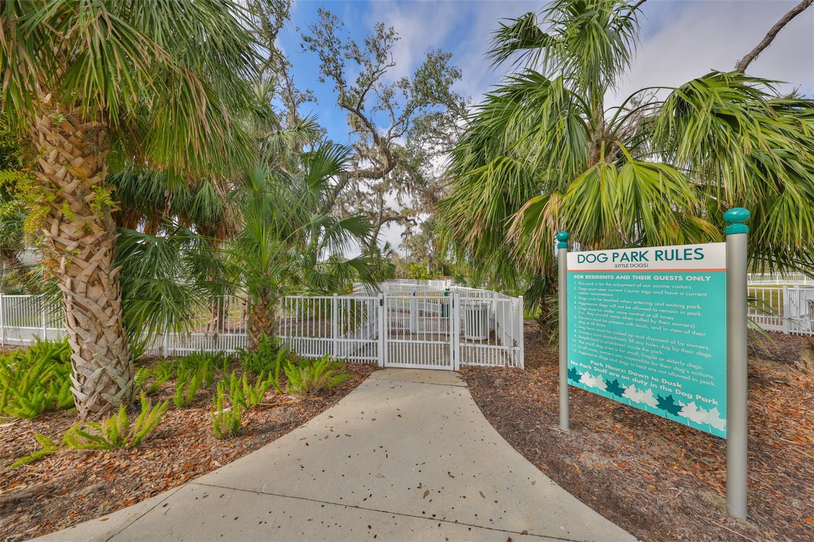 11008 Sand Pine Ln Property Photo 50