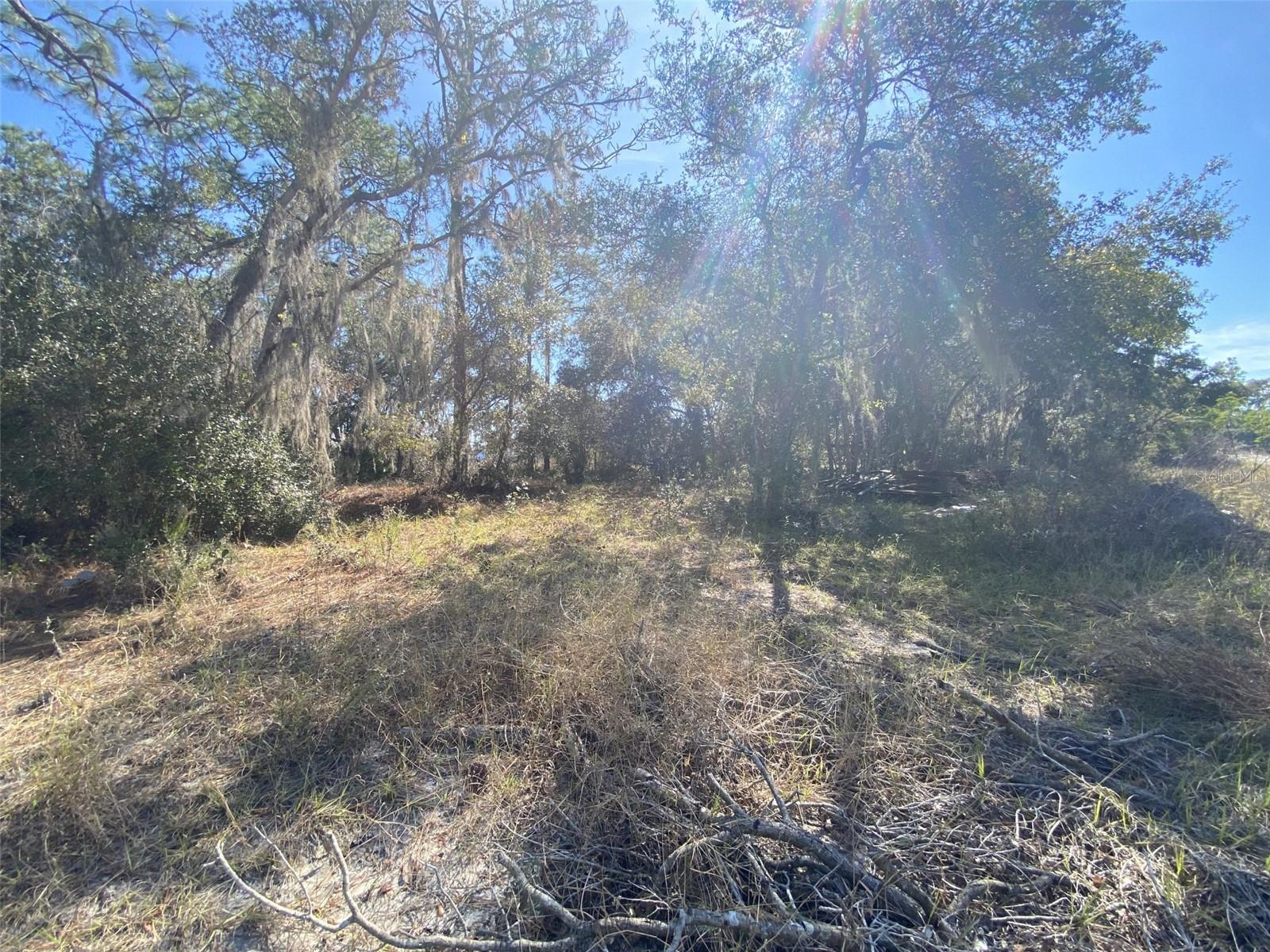 1203 Vernon Ln Property Photo 1