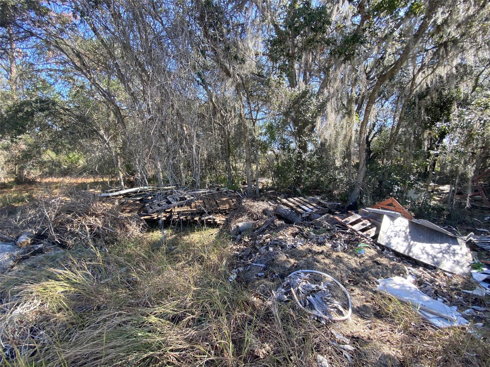 1203 Vernon Ln Property Photo 3