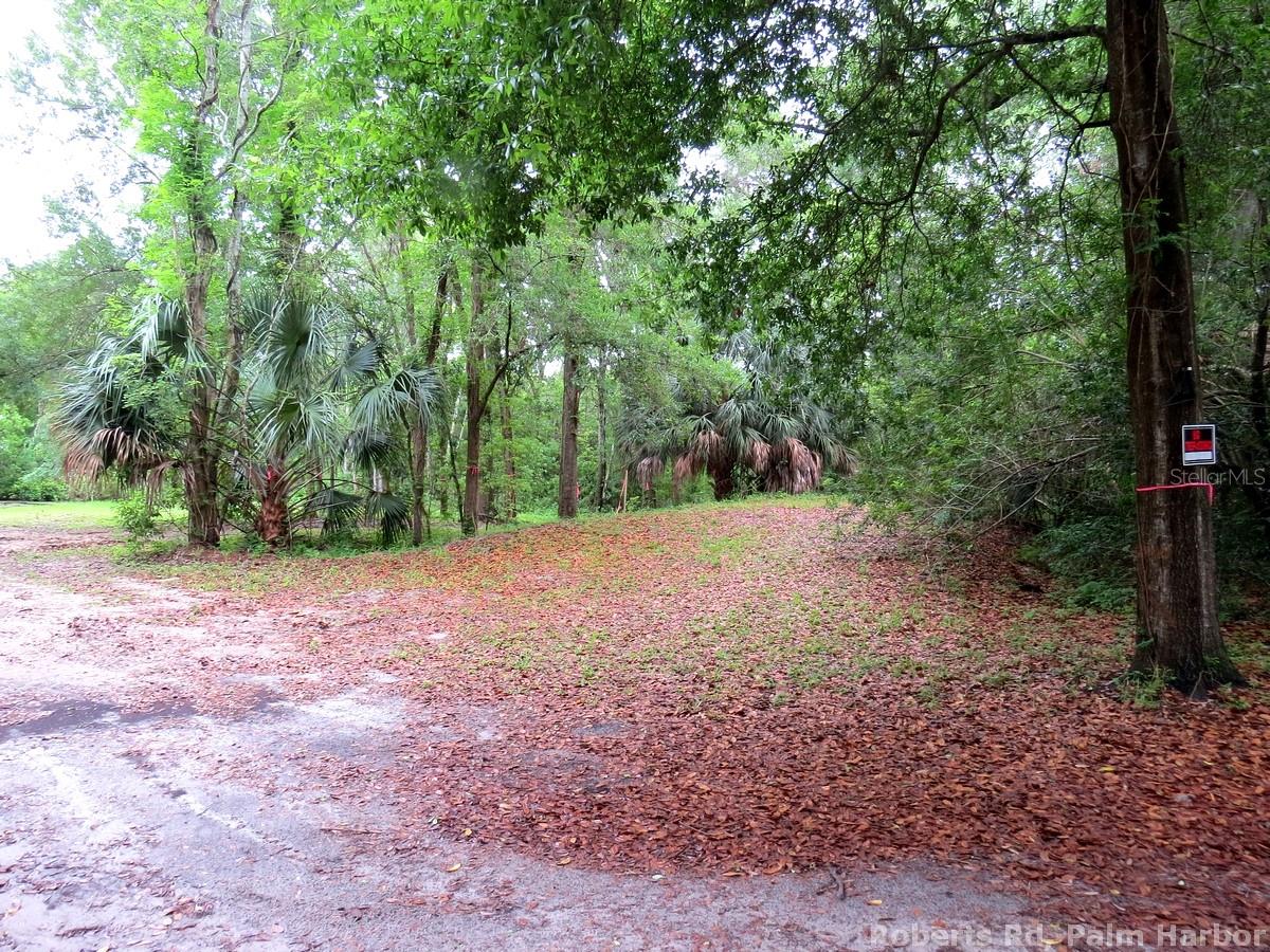 Roberts Rd Property Photo 9