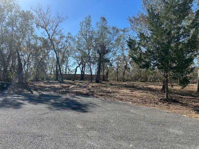 158 Sw 279 Ave Property Photo 2