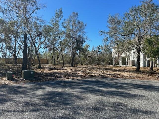 158 Sw 279 Ave Property Photo 3