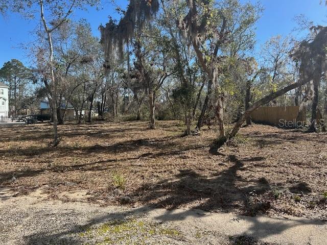 158 Sw 279 Ave Property Photo 5