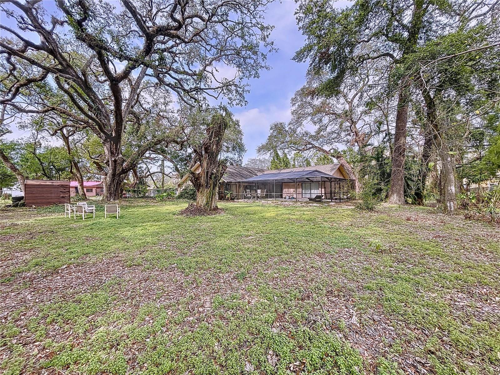 2501 E Diana St Property Photo 10